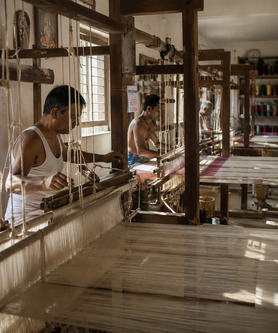 Traditional handloom weaving workshop with multiple looms in use